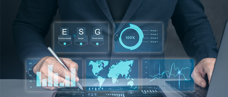 Applicability of ESG Laws and Impact of Non-Compliance on Businesses in the Netherlands