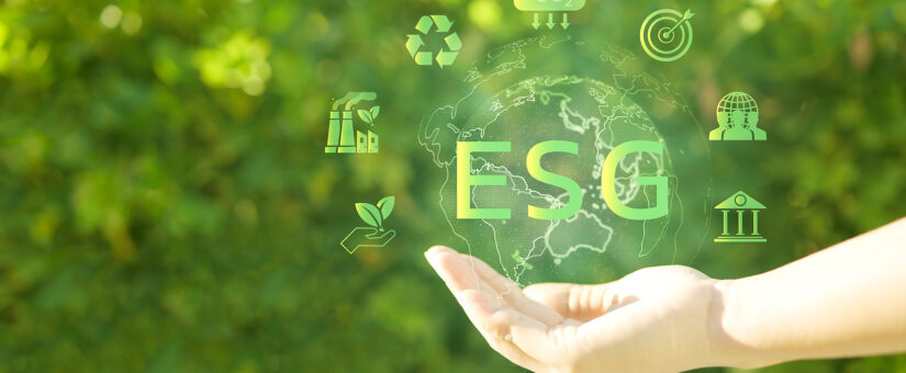 Understanding Sustainability Reporting Frameworks: Essential Guide for Businesses